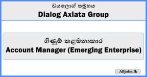 Account Manager (Emerging Enterprise) - Dialog Axiata Group