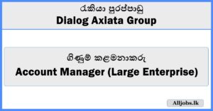Account Manager (Large Enterprise) - Dialog Axiata Group