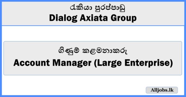 Account Manager (Large Enterprise) - Dialog Axiata Group
