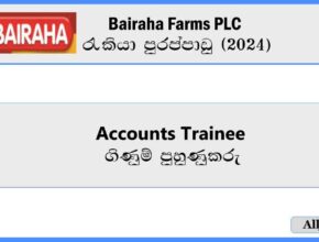Accounts-Trainee-Bairaha-Farms-PLC-Job-Vacancies-2024-alljobs.lk