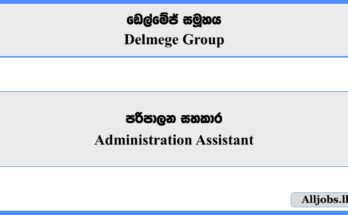 Administration Assistant - Delmege Group