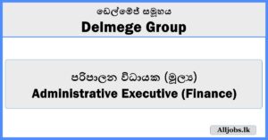 Administrative Executive (Finance) - Delmege Group