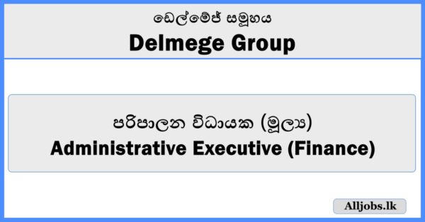 Administrative Executive (Finance) - Delmege Group
