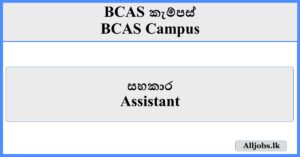 Assistant - BCAS Campus