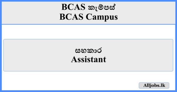 Assistant - BCAS Campus