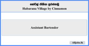 Assistant Bartender - Habarana Village by Cinnamon