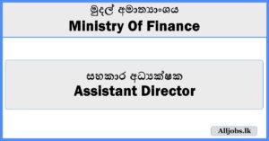 Assistant Director - Ministry Of Finance