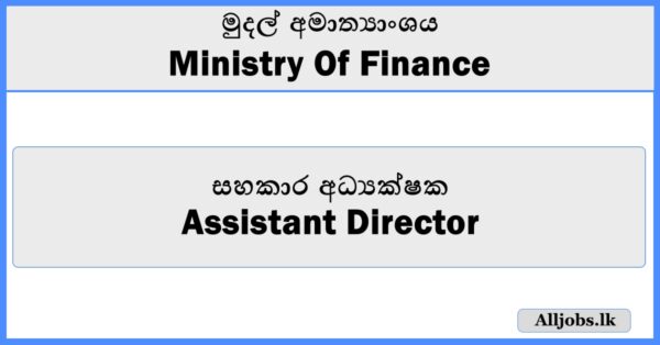 Assistant Director - Ministry Of Finance