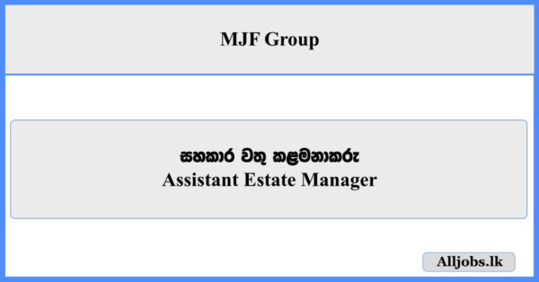 Assistant Estate Manager - MJF Group