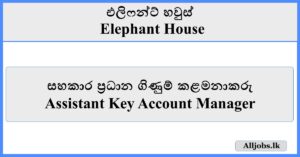 Assistant Key Account Manager - Elephant House