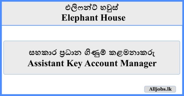 Assistant Key Account Manager - Elephant House