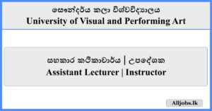 Assistant Lecturer / Instructor - University of Visual and Performing Art
