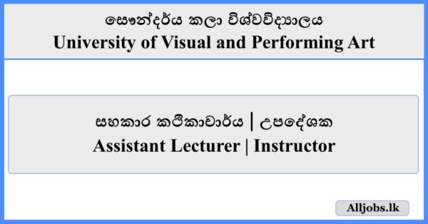 Assistant Lecturer / Instructor - University of Visual and Performing Art
