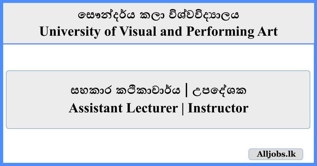 Assistant Lecturer / Instructor - University of Visual and Performing Art