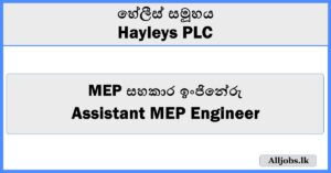 Assistant MEP Engineer - Hayleys PLC