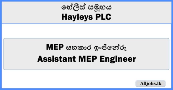 Assistant MEP Engineer - Hayleys PLC
