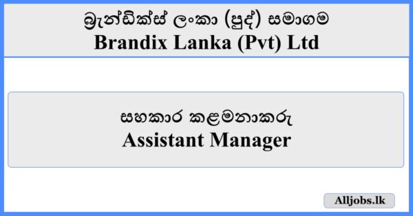 Assistant Manager - Brandix Lanka