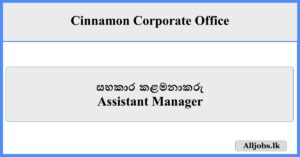 Assistant Manager - Cinnamon Corporate Office