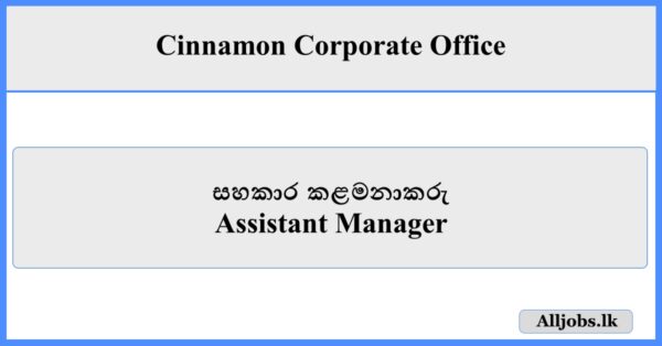 Assistant Manager - Cinnamon Corporate Office