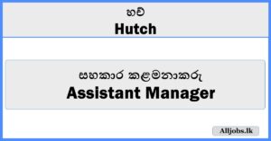 Assistant Manager (Digital Customer Service) - Hutch