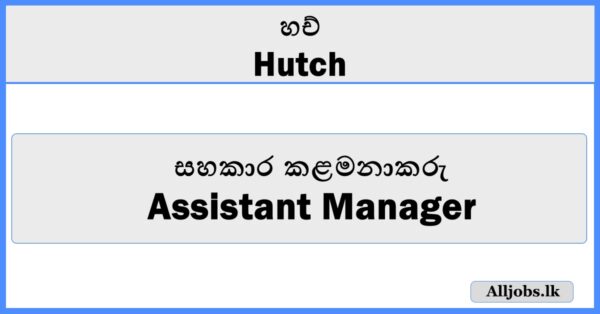 Assistant Manager (Digital Customer Service) - Hutch