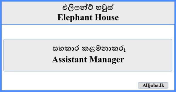 Assistant Manager - Elephant House