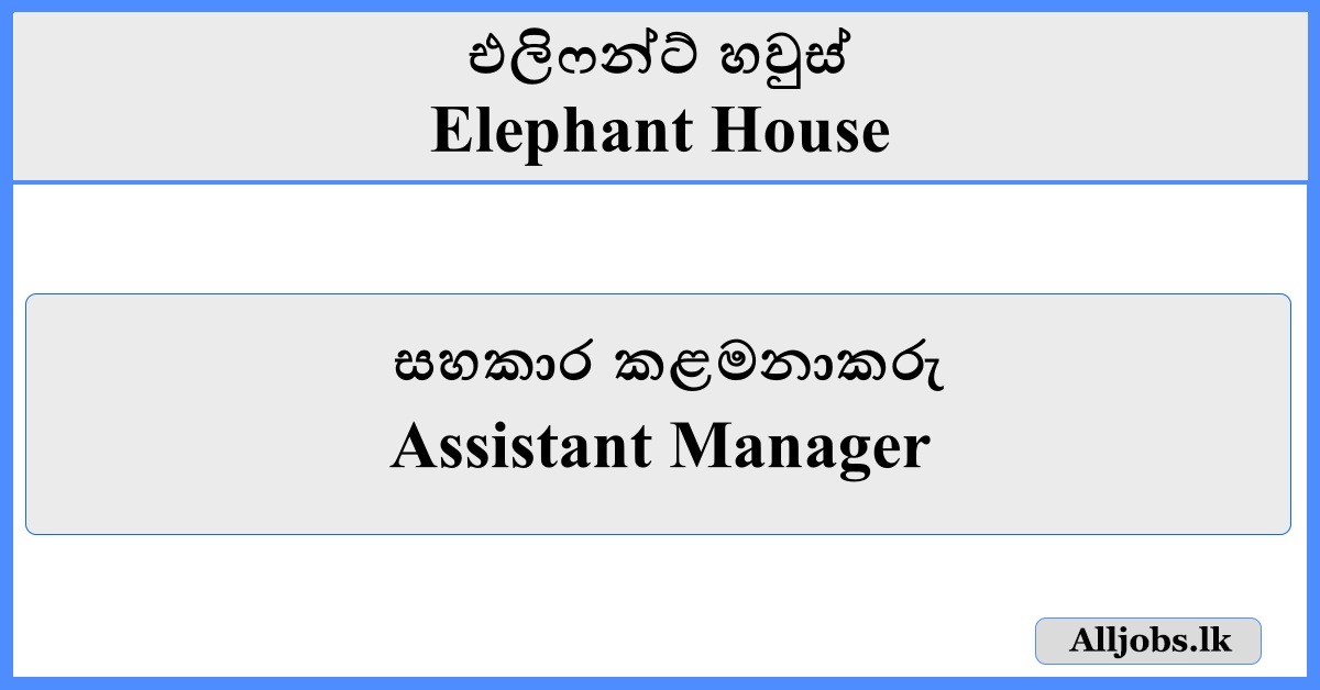 Assistant Manager - Elephant House