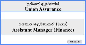 Assistant Manager (Finance) - Union Assurance