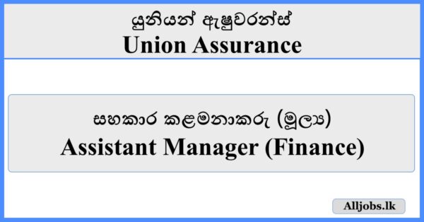 Assistant Manager (Finance) - Union Assurance