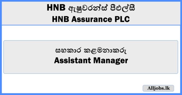 Assistant Manager-HNB Assurance PLC