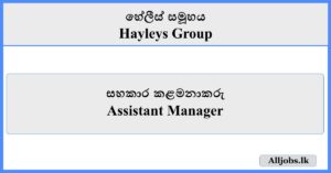Assistant Manager - Hayleys Group