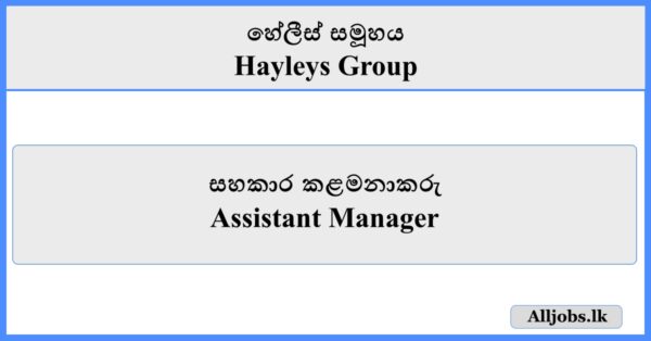 Assistant Manager - Hayleys Group
