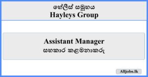 Assistant Manager - Hayleys Group
