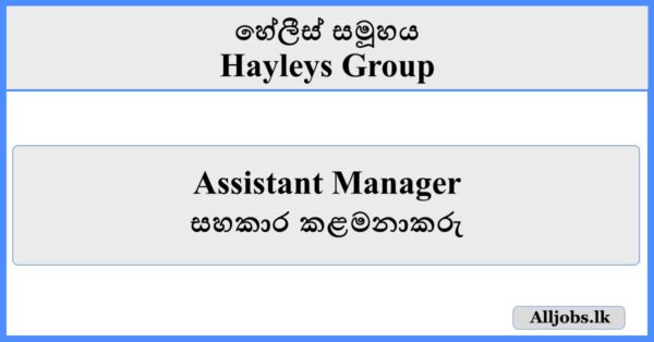 Assistant Manager - Hayleys Group