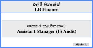 Assistant Manager (IS Audit) - LB Finance