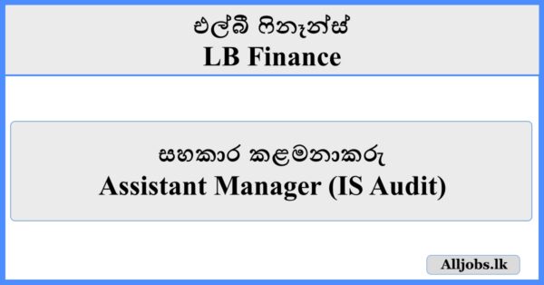 Assistant Manager (IS Audit) - LB Finance