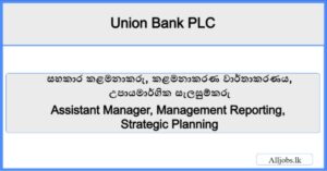 Assistant Manager Management Reporting Strategic Planning-Union Bank PLC