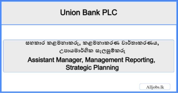 Assistant Manager Management Reporting Strategic Planning-Union Bank PLC