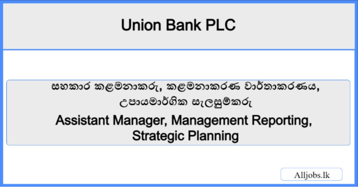 Assistant Manager Management Reporting Strategic Planning-Union Bank PLC