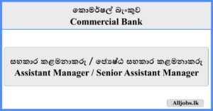 Assistant Manager Senior Assistant Manager - Commercial Bank