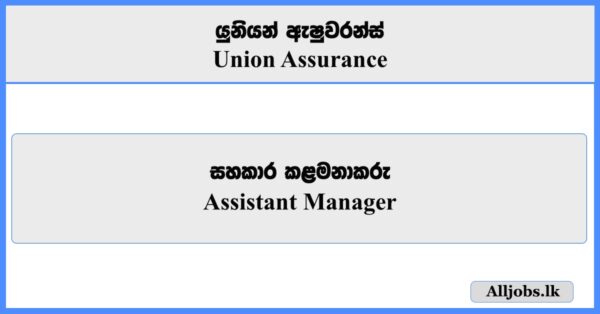Assistant Manager - Union Assurance