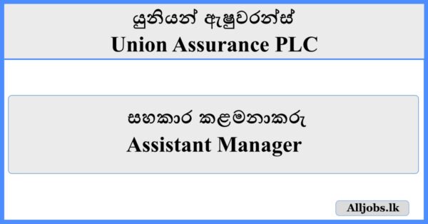 Assistant Manager - Union Assurance