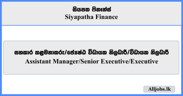 Assistant Managers, Senior Executives,  Executives  - Siyapatha Finance
