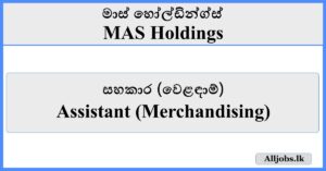 Assistant (Merchandising) - MAS Holdings