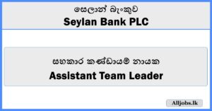 Assistant Team Leader - Seylan Bank