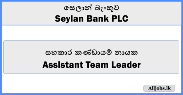 Assistant Team Leader - Seylan Bank