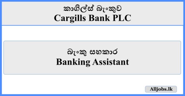 Banking Assistant - Cargills Bank