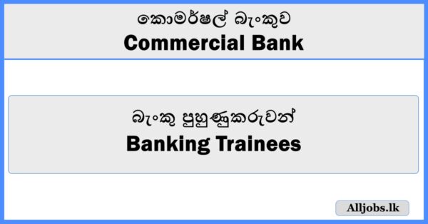 Banking Trainees