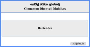 Bartender - Cinnamon Dhonveli Maldives