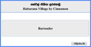 Bartender - Habarana Village by Cinnamon